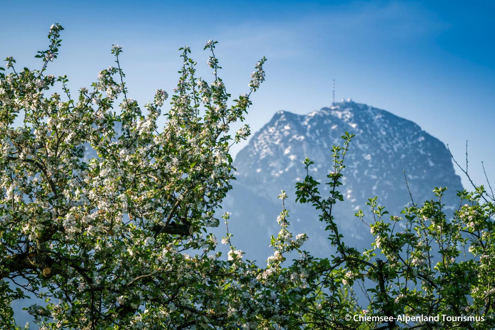 Land Wirtschaft Hoess Bad Feilnbach Exterior foto